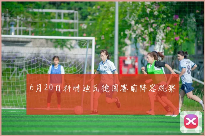 6月20日科特迪瓦德国赛前阵容观察