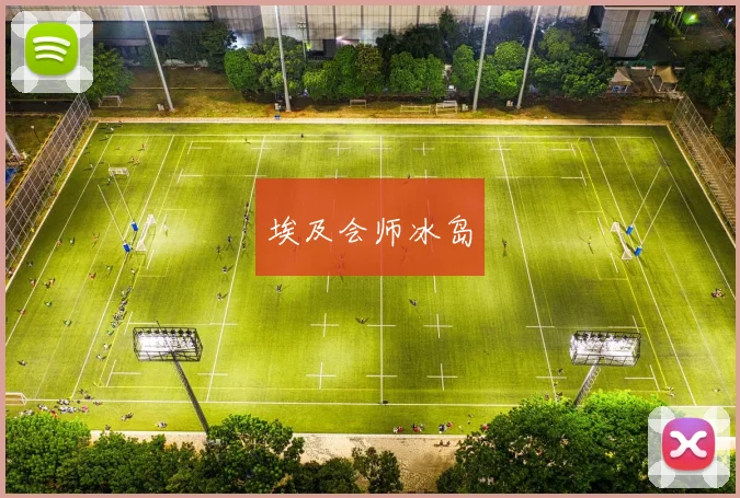 埃及会师冰岛
