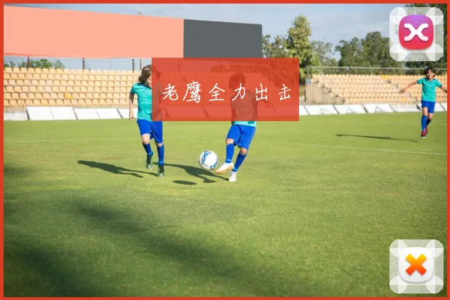 老鹰全力出击