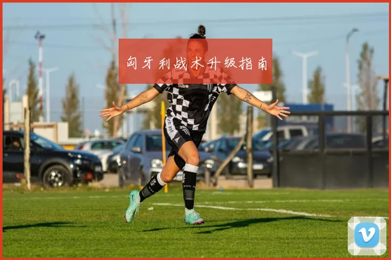 匈牙利战术升级指南