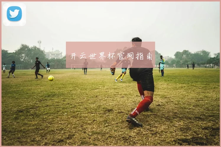 开云世界杯官网指南