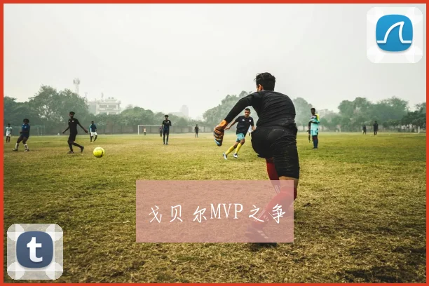 戈贝尔MVP之争