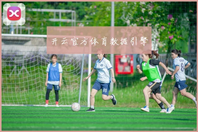 开云官方体育数据引擎