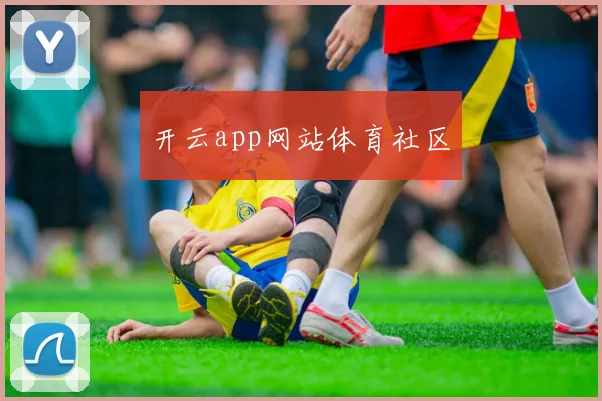 开云app网站体育社区
