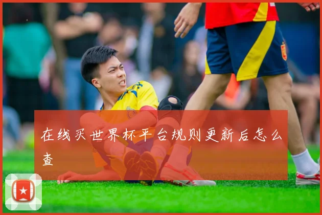 在线买世界杯平台规则更新后怎么查