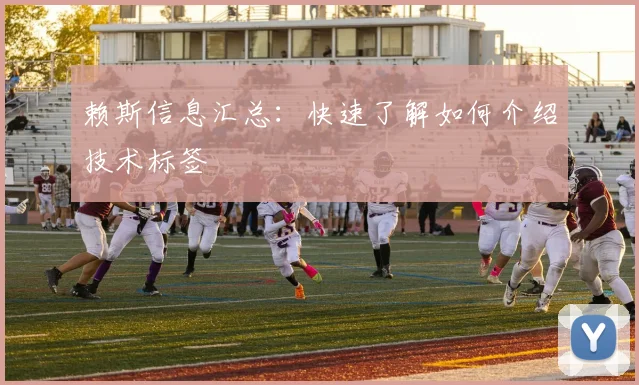 赖斯信息汇总：快速了解如何介绍技术标签
