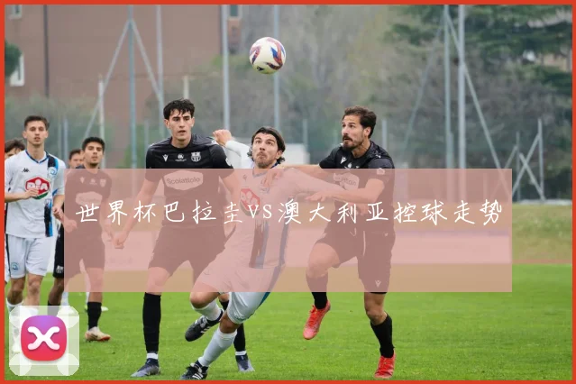 世界杯巴拉圭vs澳大利亚控球走势