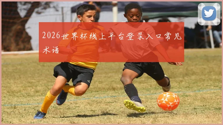 2026世界杯线上平台登录入口常见术语