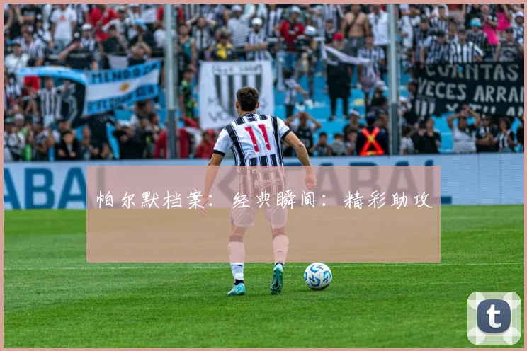 帕尔默档案：经典瞬间：精彩助攻