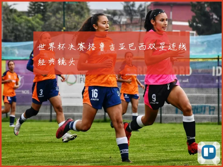 世界杯决赛格鲁吉亚巴西双星连线经典镜头