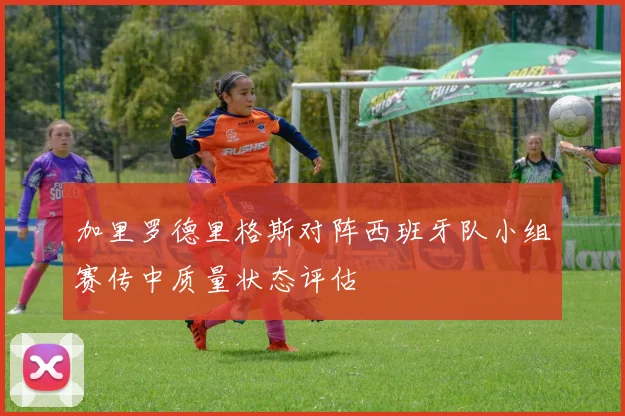 加里罗德里格斯对阵西班牙队小组赛传中质量状态评估